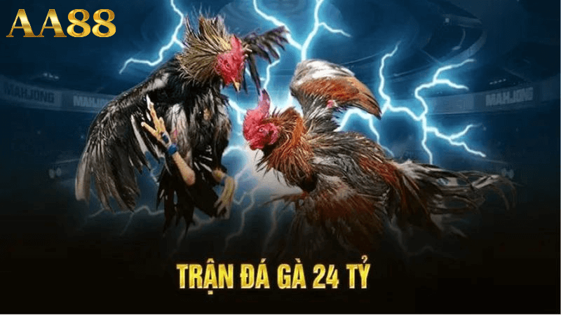 Trận gà 24 tỷ diễn ra đầy kịch tính